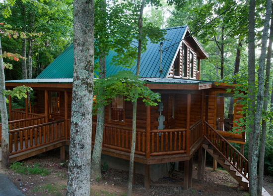 A Beary Fun Cabin